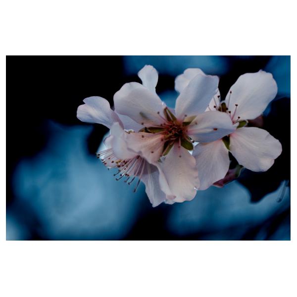 PHOTO84, CLUB, 84 , LUBERON