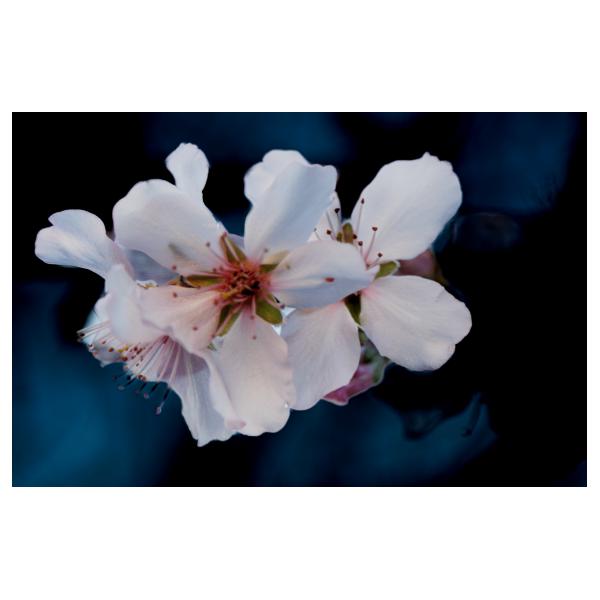 PHOTO84, CLUB, 84 , LUBERON