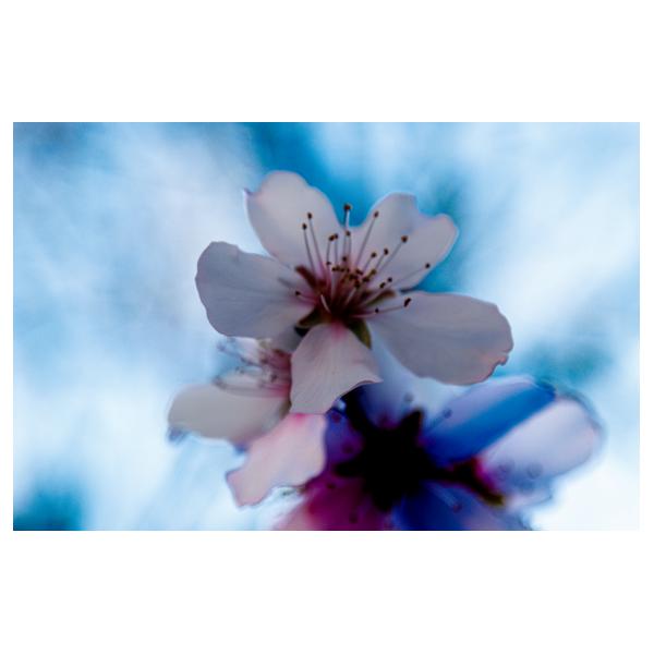 PHOTO84, CLUB, 84 , LUBERON