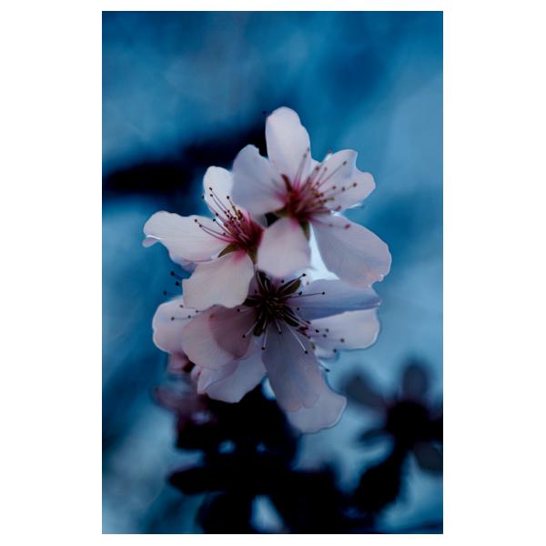 PHOTO84, CLUB, 84 , LUBERON