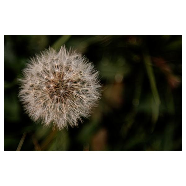 PHOTO84, CLUB, 84 , LUBERON