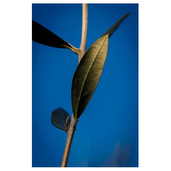 PHOTO84, CLUB, 84 , LUBERON