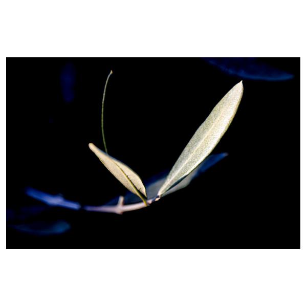 PHOTO84, CLUB, 84 , LUBERON