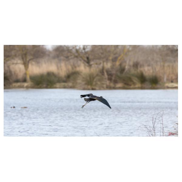 PHOTO84, CLUB, 84 , LUBERON