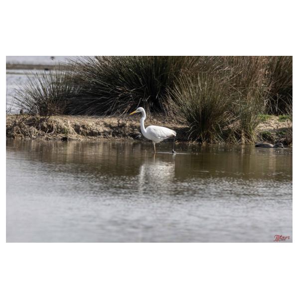 PHOTO84, CLUB, 84 , LUBERON