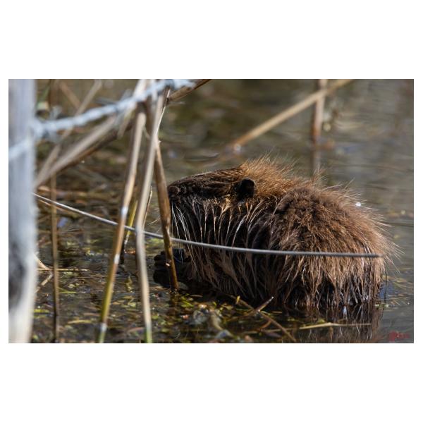 PHOTO84, CLUB, 84 , LUBERON