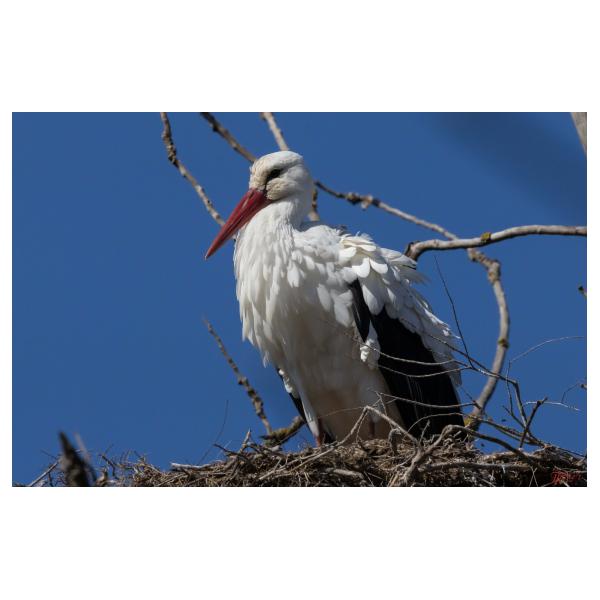 PHOTO84, CLUB, 84 , LUBERON