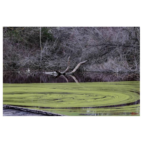 PHOTO84, CLUB, 84 , LUBERON