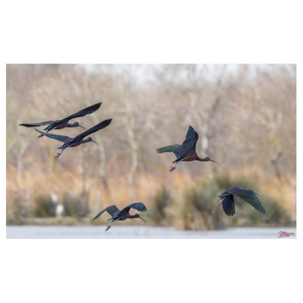 PHOTO84, CLUB, 84 , LUBERON