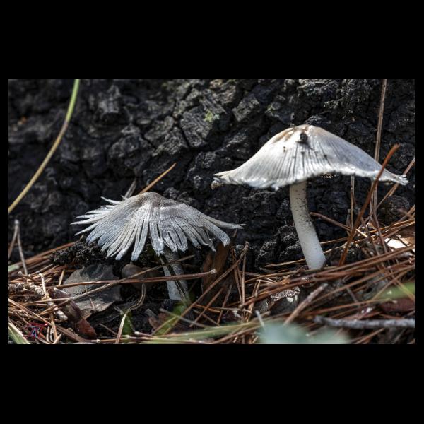 PHOTO84, CLUB, 84 , LUBERON