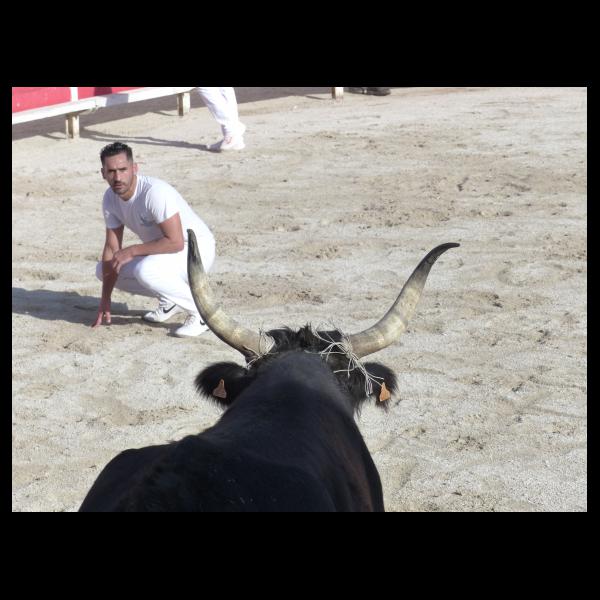 PHOTO84, CLUB, 84 , LUBERON