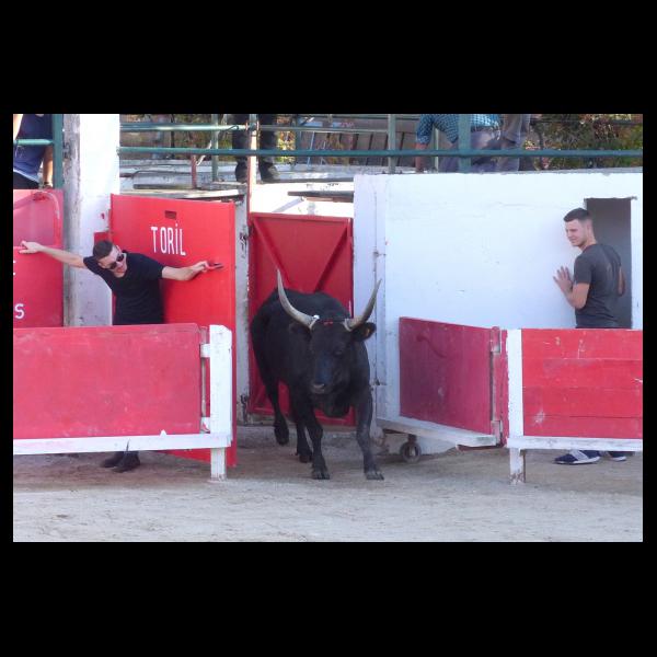 PHOTO84, CLUB, 84 , LUBERON