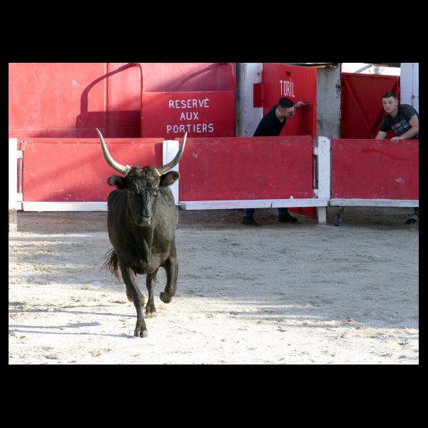 PHOTO84, CLUB, 84 , LUBERON