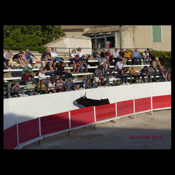 PHOTO84, CLUB, 84 , LUBERON