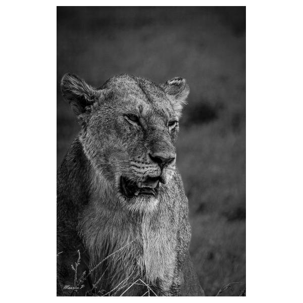 PHOTO84, CLUB, 84 , LUBERON