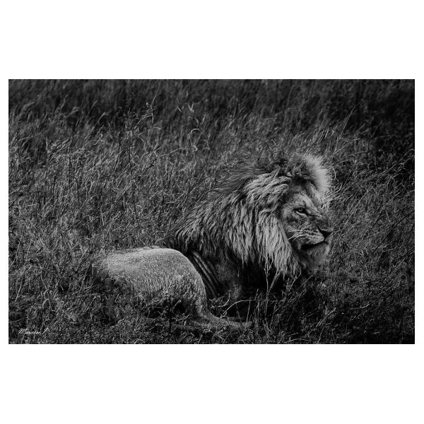 PHOTO84, CLUB, 84 , LUBERON