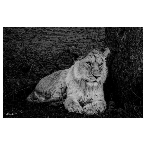 PHOTO84, CLUB, 84 , LUBERON