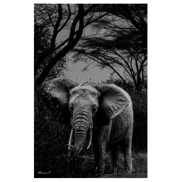 PHOTO84, CLUB, 84 , LUBERON