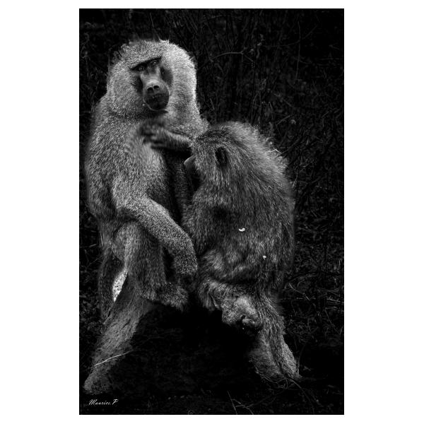 PHOTO84, CLUB, 84 , LUBERON