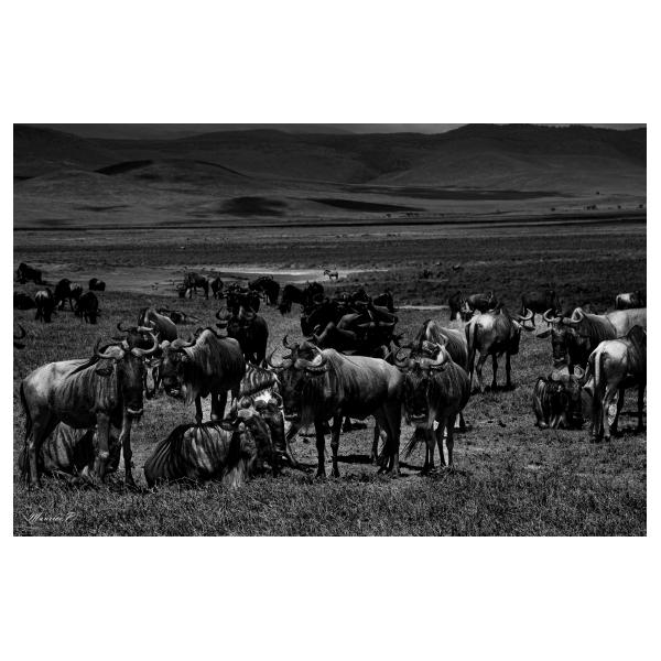 PHOTO84, CLUB, 84 , LUBERON