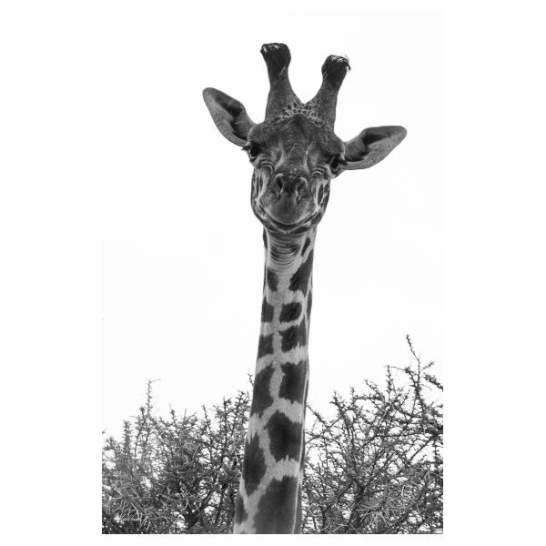 PHOTO84, CLUB, 84 , LUBERON