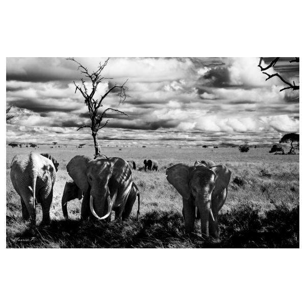 PHOTO84, CLUB, 84 , LUBERON