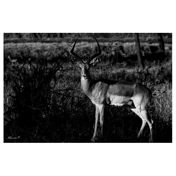 PHOTO84, CLUB, 84 , LUBERON