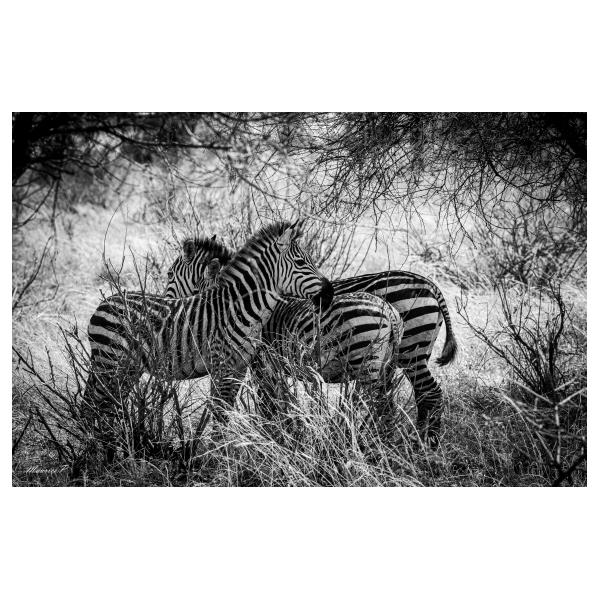 PHOTO84, CLUB, 84 , LUBERON