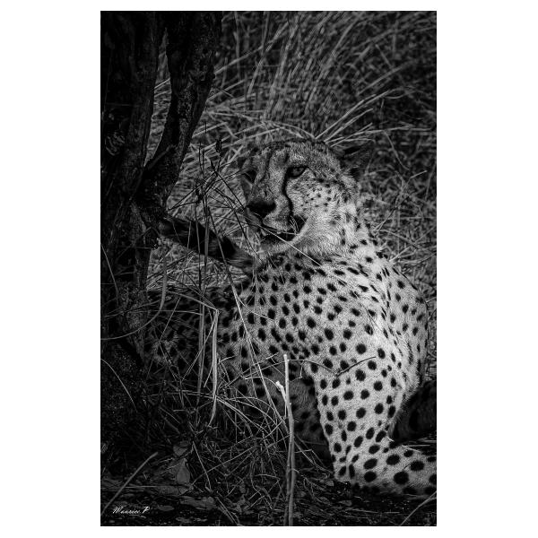 PHOTO84, CLUB, 84 , LUBERON