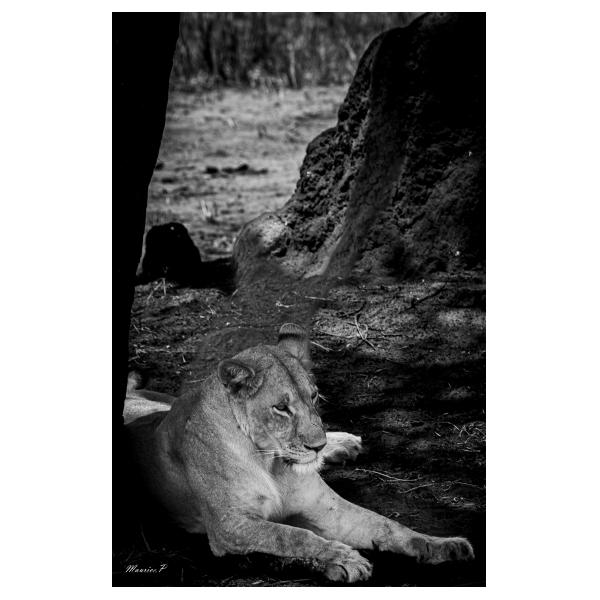 PHOTO84, CLUB, 84 , LUBERON