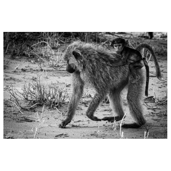 PHOTO84, CLUB, 84 , LUBERON