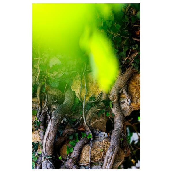 PHOTO84, CLUB, 84 , LUBERON