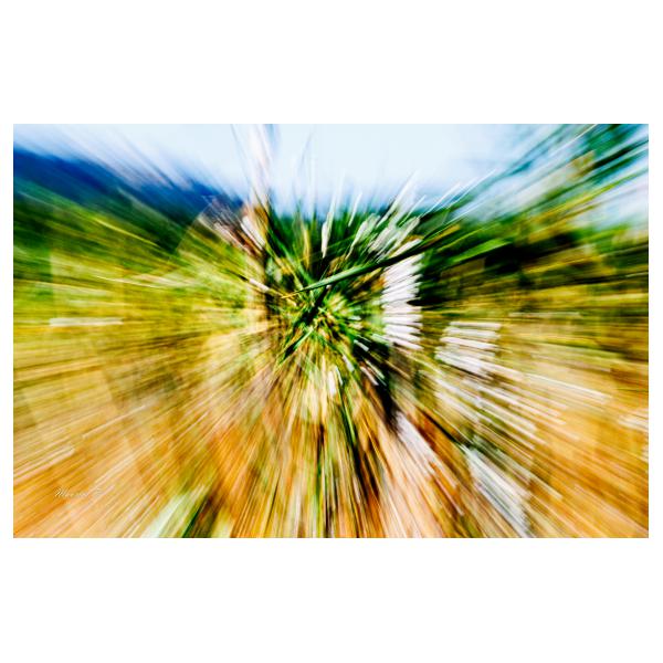 PHOTO84, CLUB, 84 , LUBERON