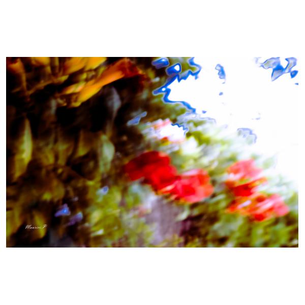 PHOTO84, CLUB, 84 , LUBERON