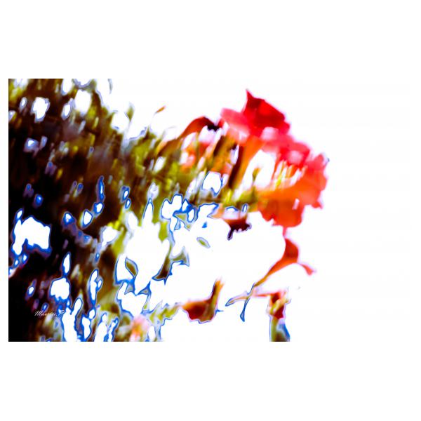 PHOTO84, CLUB, 84 , LUBERON