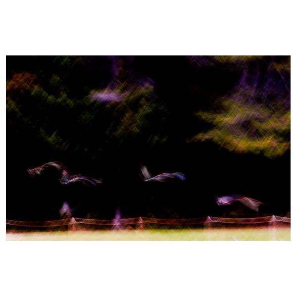 PHOTO84, CLUB, 84 , LUBERON